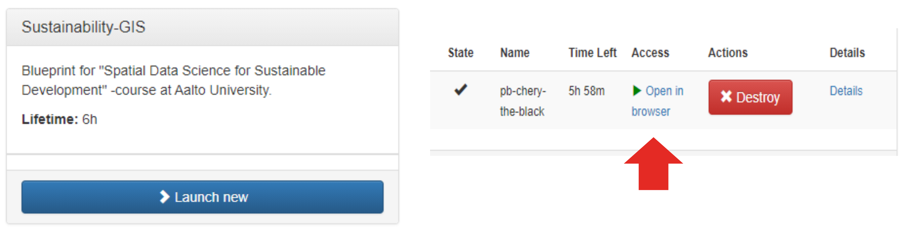Launch new Jupyter Lab instance